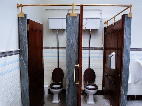 Элитная гимназия Новосибирска организовала бесполый туалет