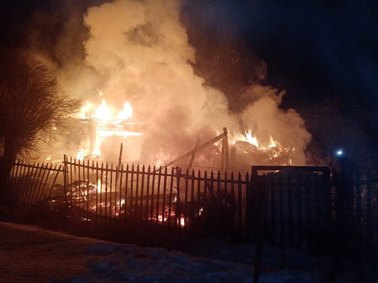 Обугленное тело старушки нашли на пепелище в новгородской деревне Мстинский Мост