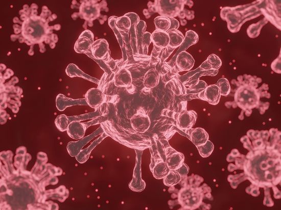 Число заразившихся коронавирусом калининградцев составило 189 за сутки