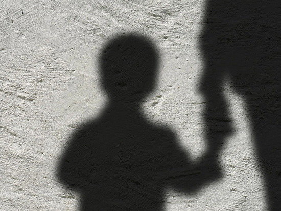 Убившую своего 12-летнего сына сарапульчанку поместят по решению суда в психиатрическую лечебницу