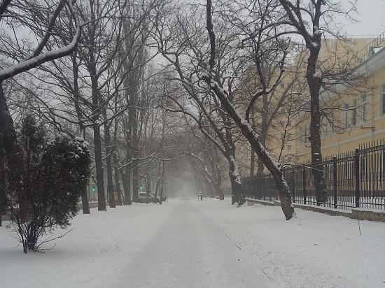 Из-за снега на дорогах Ставрополья дежурят почти 150 единиц техники