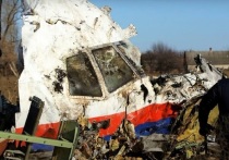 Прокуратура Нидерландов требует приговорить обвиняемых по делу о крушении малайзийского Boeing рейса MH17 в Донбассе к долгосрочному заключению
