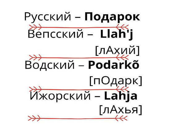 Жителям Ленобласти рассказали, как дарить подарки на языках малых народов