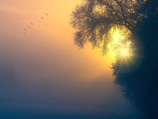 Тьма начала отступать: 23 декабря по народному календарю День святого Мины