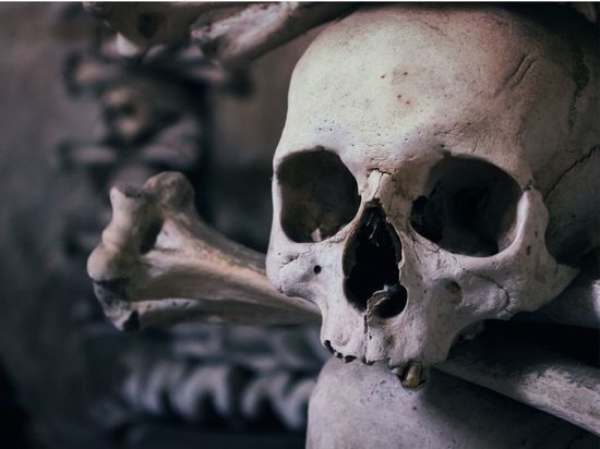 Калининградцы нашли человеческие черепа в сумках во время рыбалки