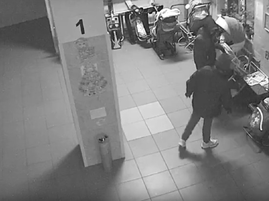 В Петрозаводске подростки обокрали детские коляски, стоявшие в подъезде