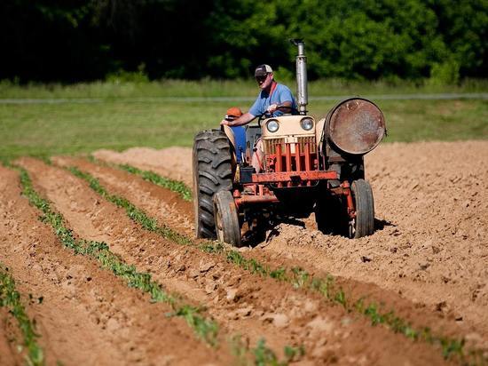 Фермеров ЛНР ожидают изменения в законодательстве