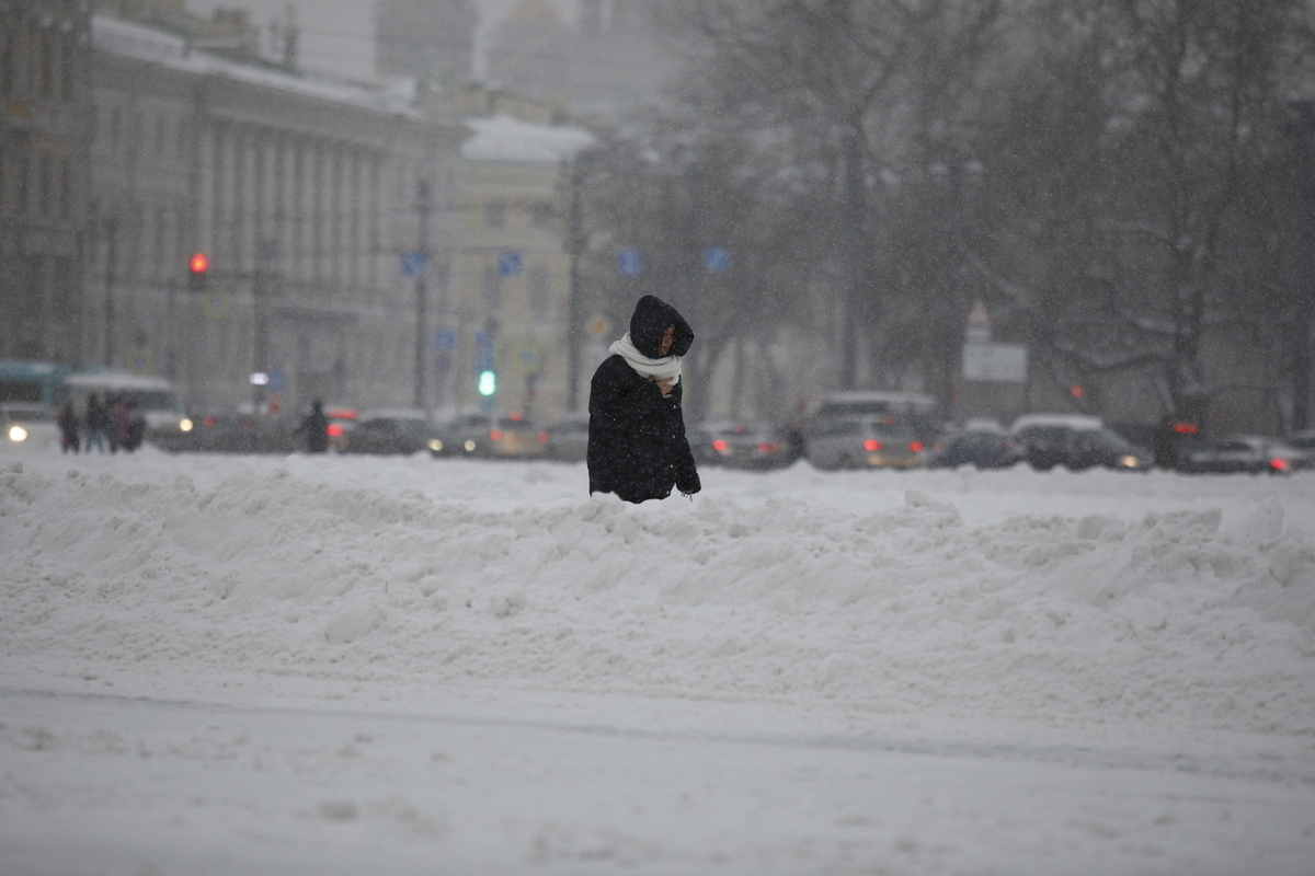 метель в санкт петербурге