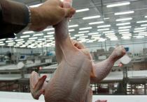 С 14 по 20 декабря в России зафиксирована тенденция к снижению стоимости куриного мяса