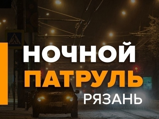 Ночной патруль отряда «Лиза Алерт» начал действовать в Рязани