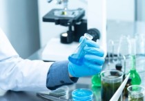 Российские ученые разработают препарат на основе антител против "омикрона"