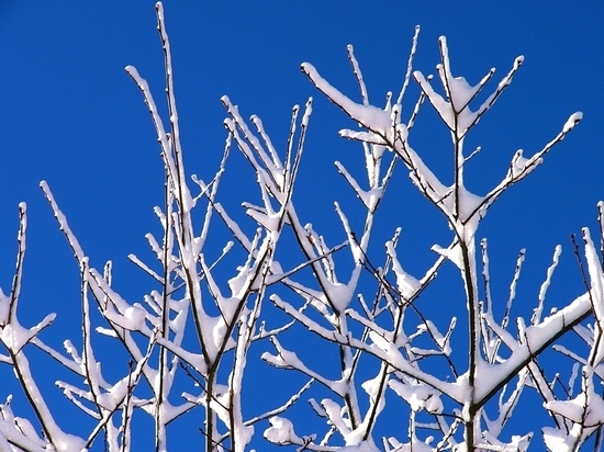 В Томске 23 декабря будет солнечно и легкий мороз