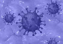 Новые исследования показали, что вероятность госпитализации при инфицировании вариантом коронавируса «Омикрон» гораздо ниже, чем в случае заражения вариантом COVID «Дельта»