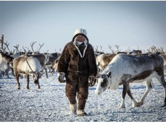 Оленеводов в Якутии обеспечат беспилотниками и квадрокоптерами
