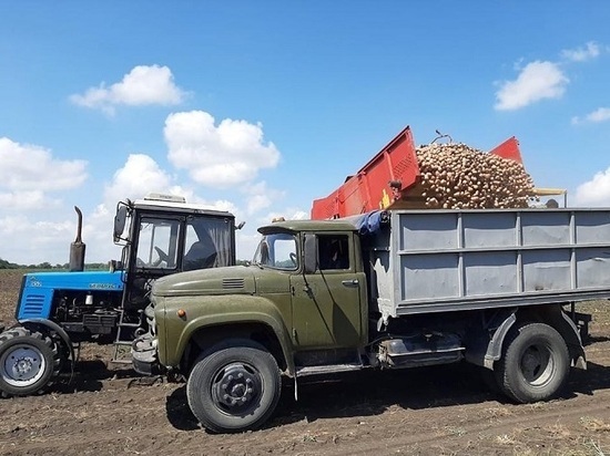 Ставропольский урожай картофеля превысил показатель 2020 года