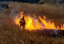 У границ национального парка «Земля леопарда» на юге Приморского края потушили первый за эту зиму крупный пожар