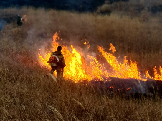 Крупный пожар потушили у границ приморского национального парка «Земля леопарда»