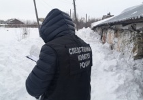 В Алтайском крае вынесли приговор в отношении председателя и главного инженера одного из сельскохозяйственных кооперативов Заринского района