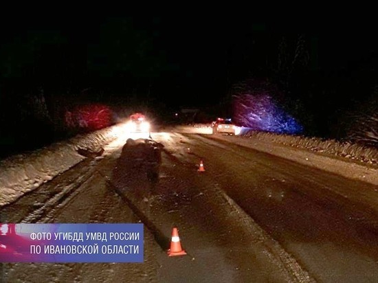 В Ивановской области произошла очередная авария с лосем