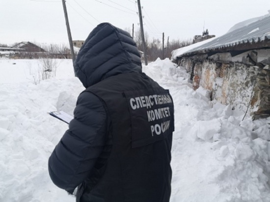 На Алтае виновные в смертельном сходе снега с крыши получили условные сроки