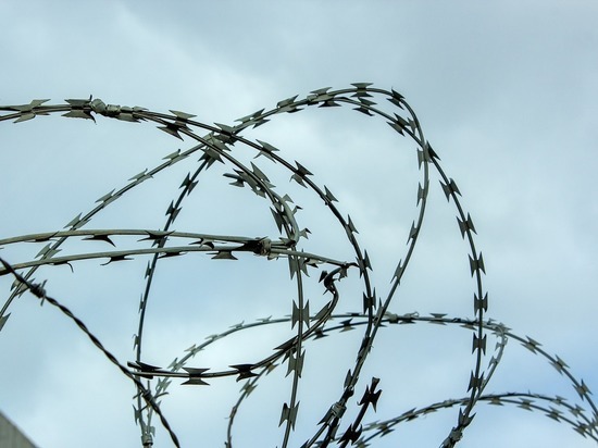 Украина выделила Литве гуманитарную помощь на 30 млн гривен