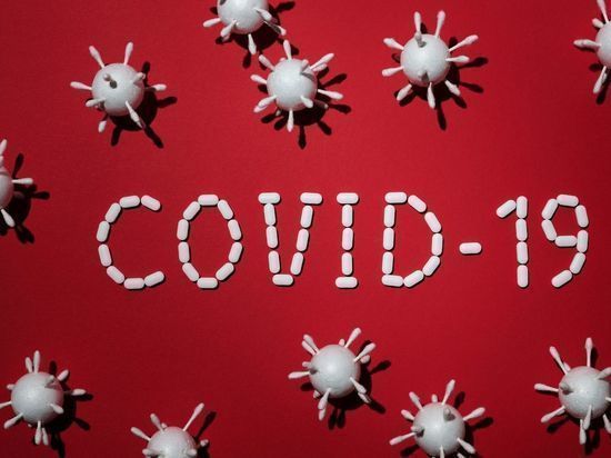 В Ленобласти продлили до года сертификаты о перенесенном коронавирусе