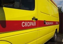 Крупное дорожно-транспортное происшествие с участием двух микроавтобусов произошло в Мурманской области, пострадали 10 человек, включая 8 детей