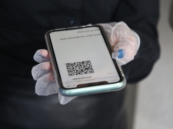 В Новосибирской области завели 24 уголовных дела из-за поддельных QR-кодов