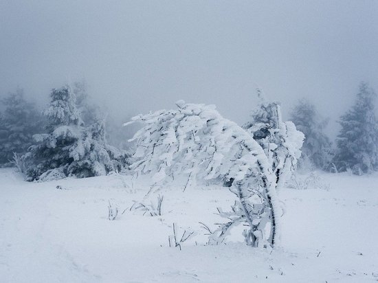 Последние выходные текущего года Воронежскую область накроет снегопад