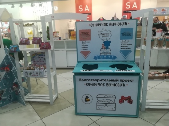 Любой житель Ярославля может стать Дедом Морозом для бездомных кошек и собак
