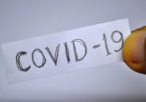 Статистика Минздрава ДНР говорит о том, что за 23 декабря было проведено 1020 исследований, в результате которых было подтверждено 217 случаев заболевания COVID-19