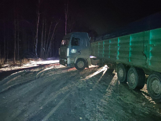 Под Шацком в ДТП с фурой пострадали двое детей