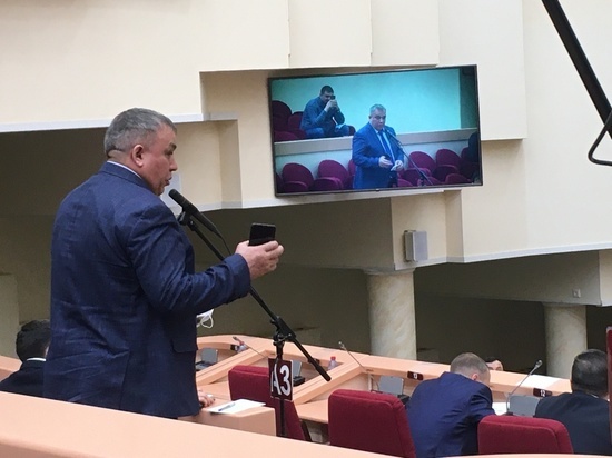 Членом общественной палаты Саратова может стать директор бюро "Белый кролик"