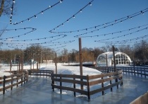 В субботу 25 декабря в Центральном парке Белгорода заработает каток, выполненный в виде ледовых дорожек, проходящих между деревьями