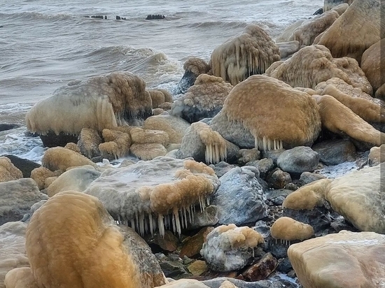 Побережье Азовского моря покрылось льдом