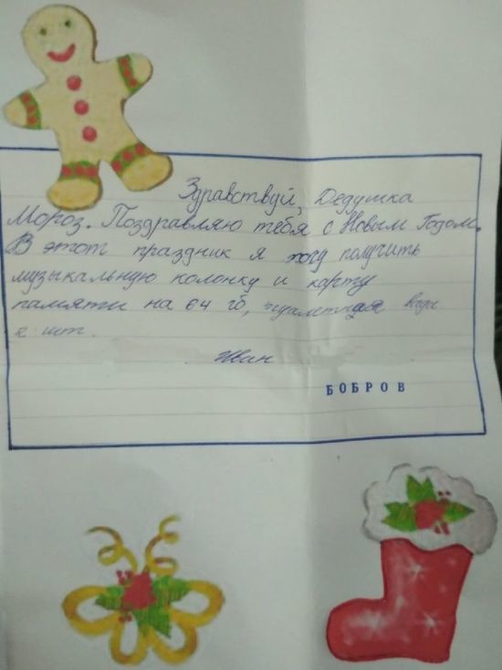 Что просили воронежские дети у Деда Мороза