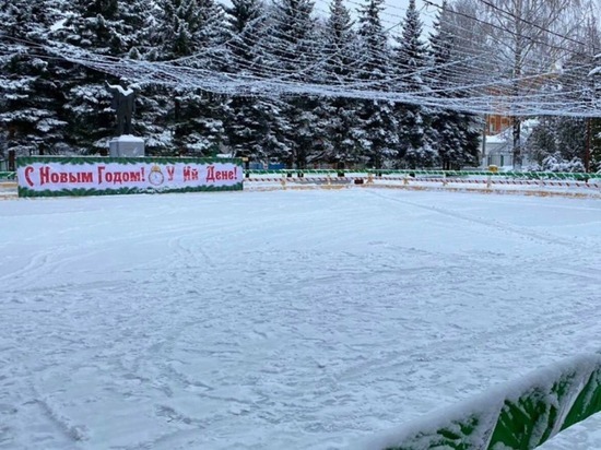 В Йошкар-Оле пройдут мастер-классы катания на коньках