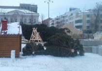 В Свердловской области перед новогодними праздниками усилили охрану лесных насаждений от незаконных рубок
