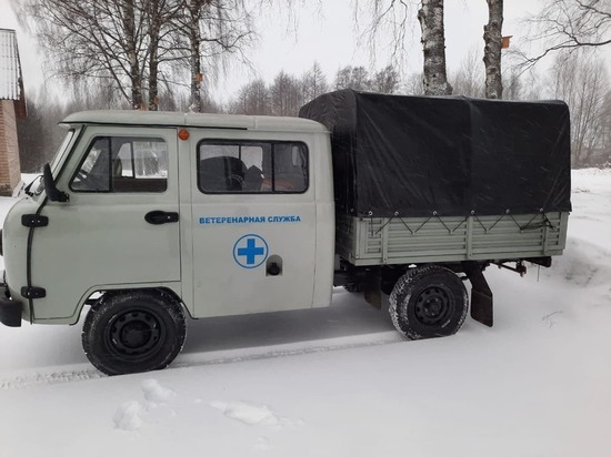 Дезинфекционная установка для борьбы с распространением АЧС появилась в Псковской области