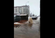 В Невском района произошла очередная коммунальная авария: в этот раз затопило двор дома № 34 на Шлиссельбургском проспекте