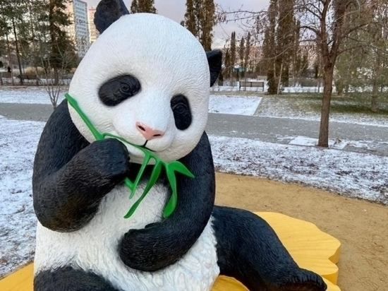 В ЦПКиО Волгограда установили статую панды из Китая