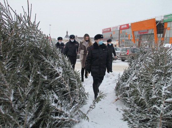 Костромские полицейские перед Новым Годом проверяют магазины пиротехники и елочные базары