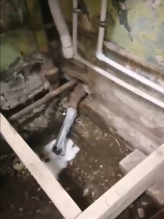 В Ярославле жители Пятерки рискуют встретить Новый год, утопая в канализации