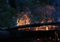 Загорелся дачный дом в СДТ «Метролог» в районе улицы Автономной