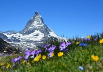 Ученые обнаружили в Альпах “танцующую” гору