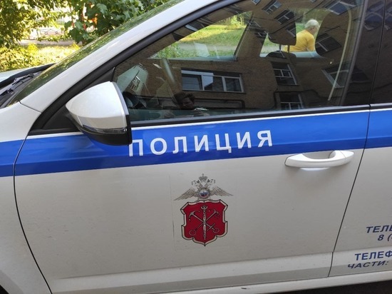 Задержан подозреваемый в обстреле скорой помощи в Петербурге водитель иномарки