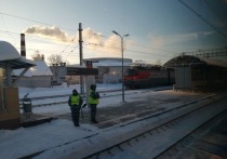 Пассажирский поезд между Йошкар-Олой и Петербургом начнет курсировать 28 декабря. Об этом сообщили в пресс-службе Российских железных дорог.