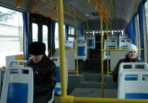 На замену коммерческой маршруте К-68А, которая возит пассажиров от поселка Ленино до станции метро «Проспект Ветеранов», придет автобус. Он начнет ходить по этому маршруту с 1 июня 2022 года. Об этом сообщили в пресс-службе Комитета по транспорту.