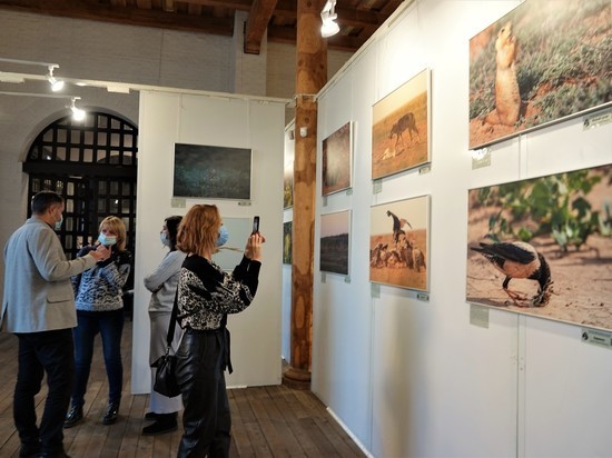 В Астрахани открылась уникальная фотовыставка