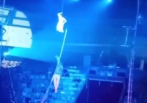 В тюменском цирке канатоходец упал с высоты во время представления